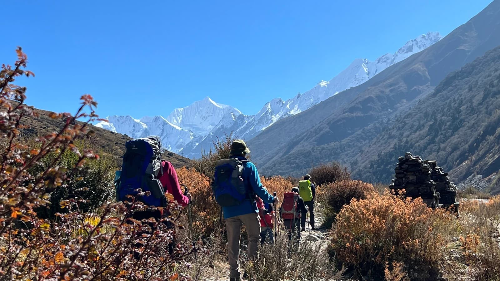 langtang Valley treks