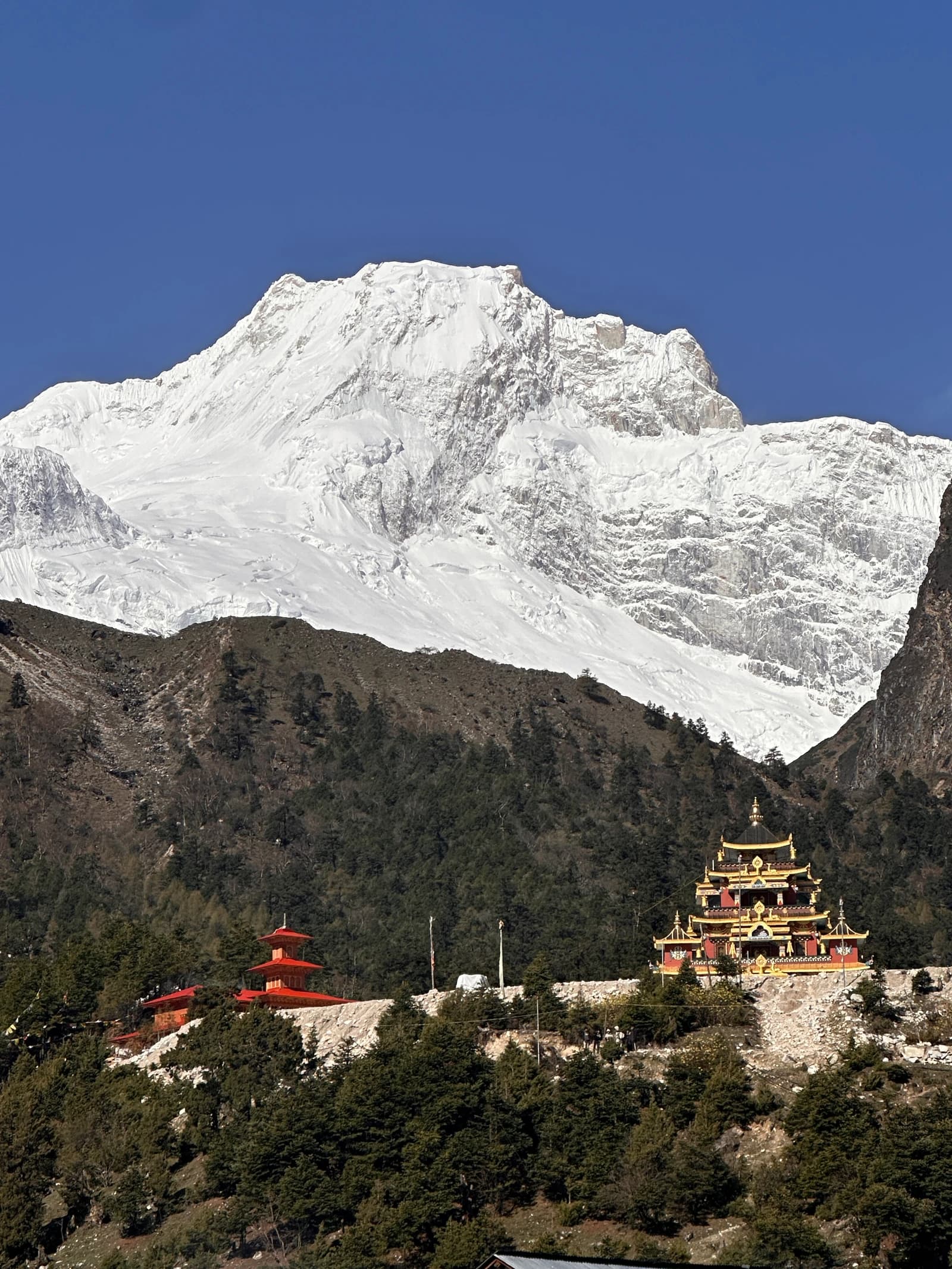 A traditional Tibetan-style temple nestled in forested hills below a massive snow-capped mountain.